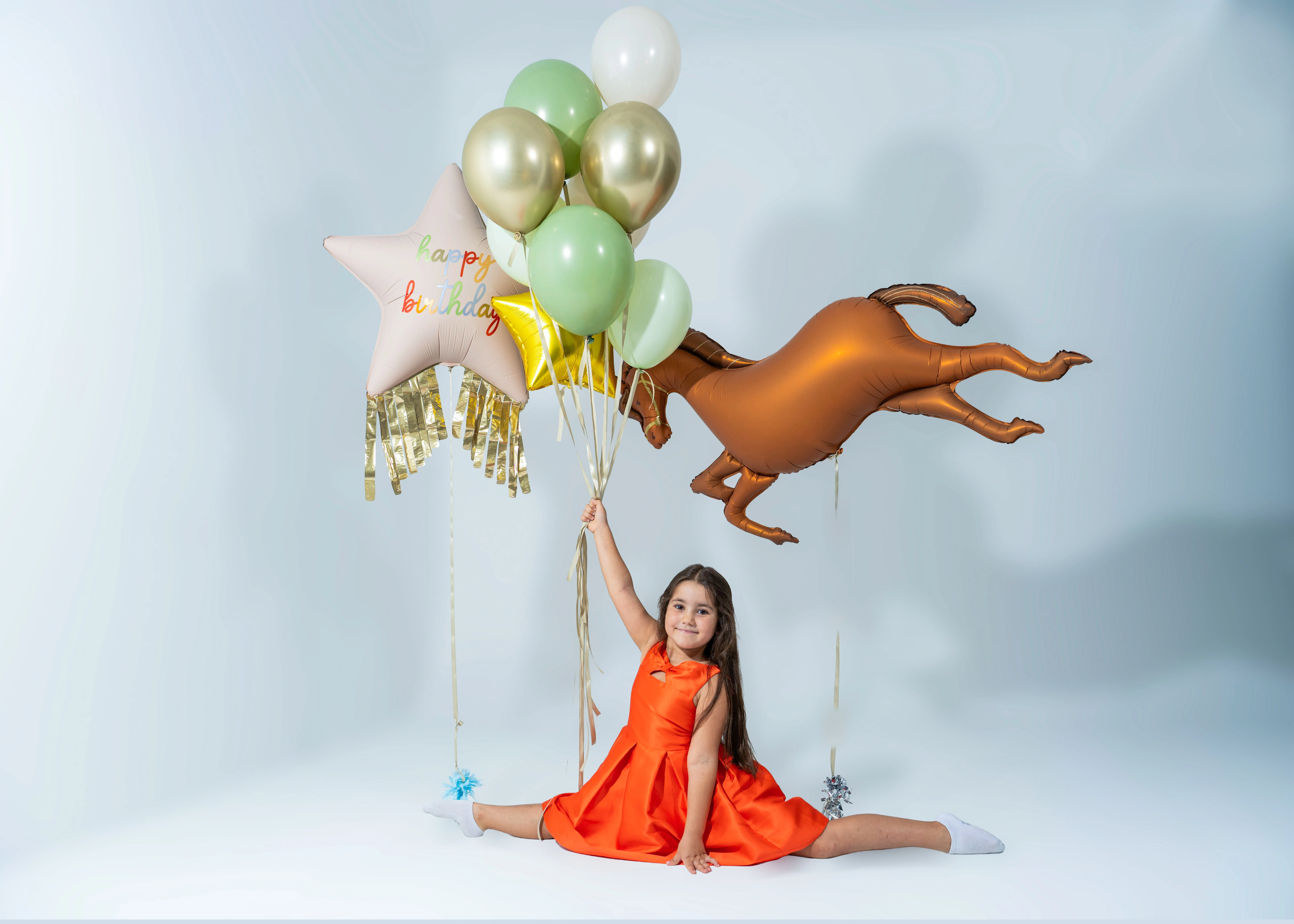 Horse Birthday balloons set