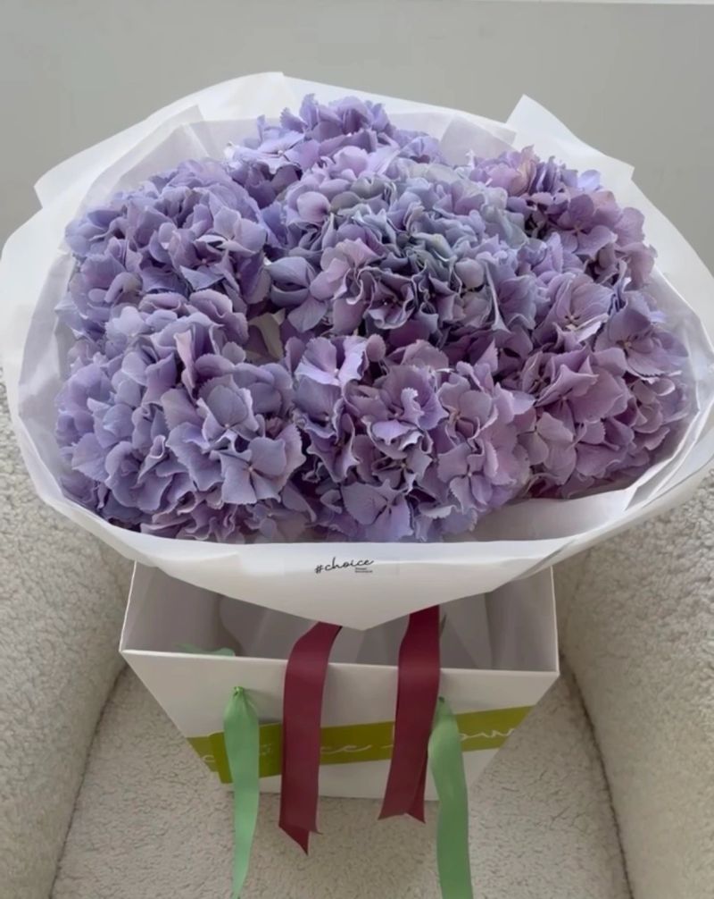 Hydrangeas Royal Benefit 7 stems Size M Hydrangeas Royal Benefit 7 stems Size M