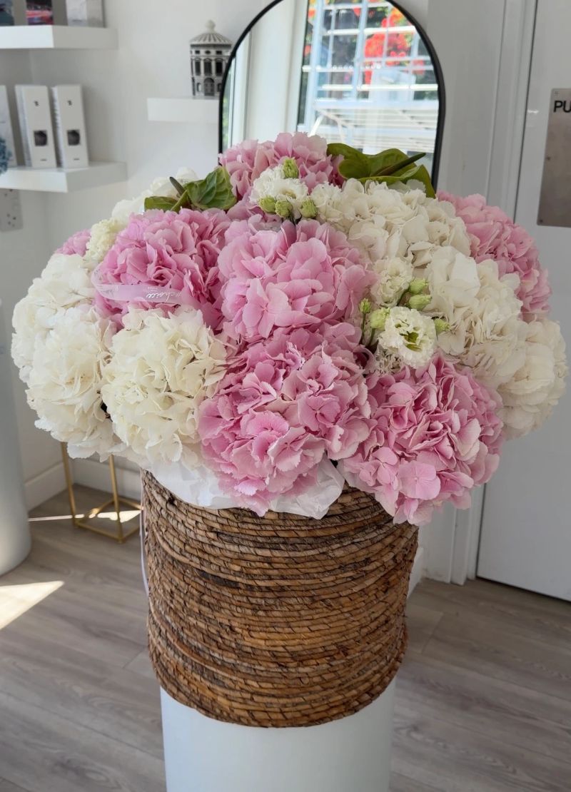 Hydrangeas Flower Basket Hydrangeas Flower Basket